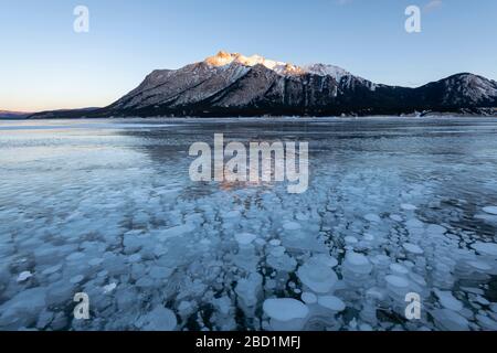 Methane gas bubbles at Lake Abraham, Kootenay Plains, Alberta, Canadian Rockies, Canada, North America Stock Photo