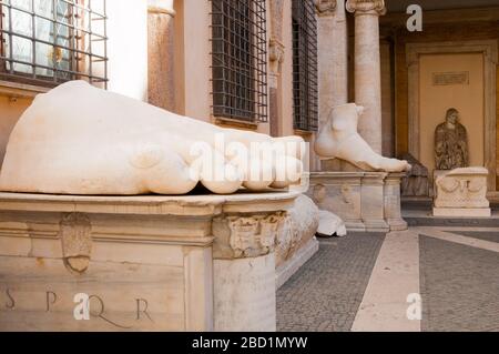 Foot of Colossus of Constantine, Musei Capitolini, Capitoline Hill, UNESCO World Heritage Site, Rome, Lazio, Italy, Europe Stock Photo