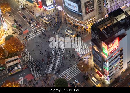 Elevated View Of Famous Shibuya Pedestrian Crossing Tokyo Japan Stock Photo Alamy