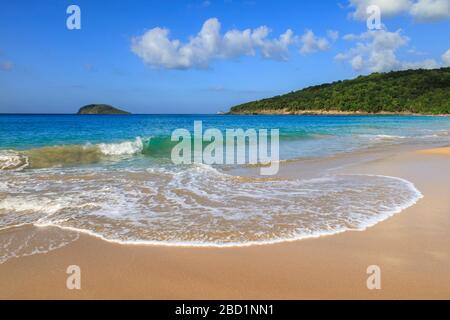 Tropical Anse de la Perle beach, golden sand, turquoise blue sea, Death In Paradise location, Deshaies, Guadeloupe, Leeward Islands, Caribbean Stock Photo