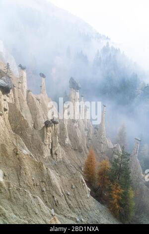 Colorful trees on rocks of the Earth Pyramids in autumn, Perca (Percha), province of Bolzano, South Tyrol, Italy, Europe