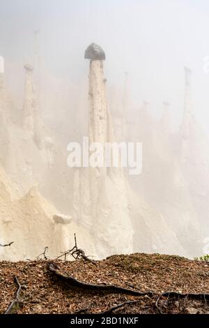 Rock pinnacles of the Earth Pyramids emerging from fog, Perca (Percha), province of Bolzano, South Tyrol, Italy, Europe
