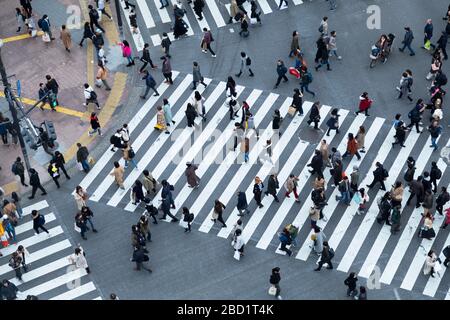 People crossing Shibuya Crossing, Shibuya, Tokyo, Honshu, Japan, Asia Stock Photo