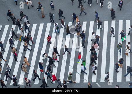 People crossing Shibuya Crossing, Shibuya, Tokyo, Honshu, Japan, Asia Stock Photo