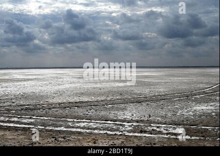 Abnormal seasonal weather in the white desert, preventing full cover of salt from accumulating, Rann of Kutch, Gujarat, India, Asia Stock Photo