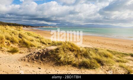 Newborough beach and sand dunes with the snow covered Snowdonia mountains in the background, Anglesey Stock Photo