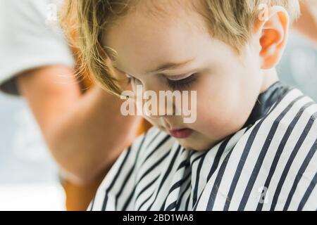 A little boy in a hairdressing salon Stock Photo