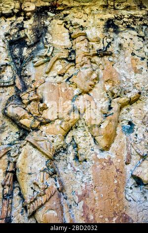 Carving panel at Patio de los Cautivos (Patio of the Captives), El Palacio, Maya ruins at Palenque archaeological site, Chiapas, Mexico Stock Photo