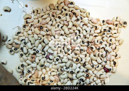 Dried bean, pattern background, top view . Anasazi kidney bean background. Stock Photo
