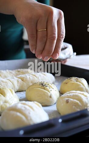Homemade food concept. Woman hands spreading poppies seeds on dough. Unbaked buns and bread on oven tray. Close-up. Stock Photo