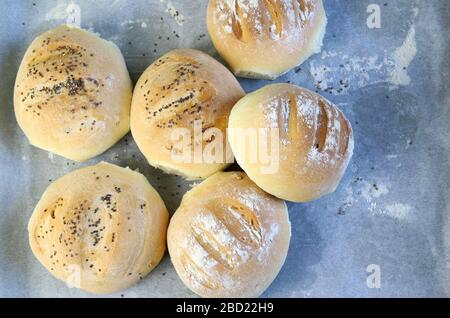 Home baking. Freshly baked buns on baking paper. Top view, copy space. Stock Photo