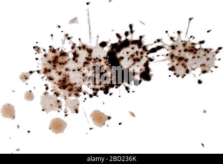 Stains of spilled coffee. The spots are brown. Splashing of spilled coffee. Stock Vector