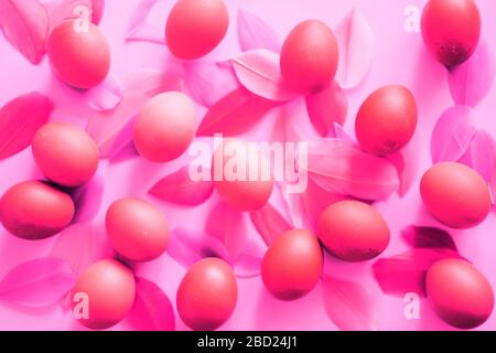 Closeup of beautiful pink colored eggs on a pastel background. Happy Easter concept, flat lay composition. Top view. Stock Photo