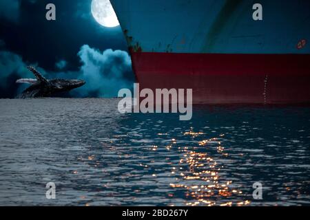humpback whale breaching at full moon night in pacific ocean background on back of ship prow Stock Photo