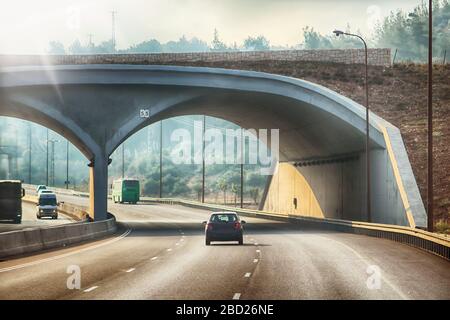 Cars are passing under green bridge for wildlife crossing of animals in Israel. The green bridge  is designed to ensure the safe movement of animals Stock Photo