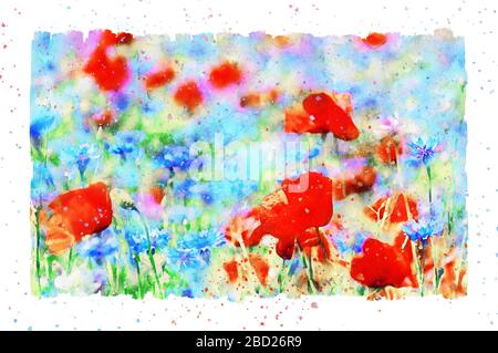 Watercolor painting of poppy flower and corn flower blossom in summer time. frame with dots. Stock Photo