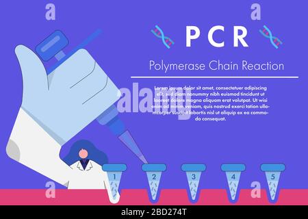 Medical scientist transfer extracted DNA sample in test tube for amplification process by polymerase chain reaction or PCR. Stock Vector