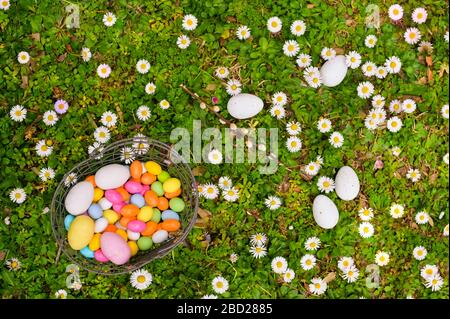 Easter eggs in the grass. Basket with different colored eggs in a clearing with flowers. The concept of family holidays, children's entertainment. Top view. Free time for text Stock Photo