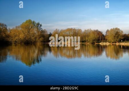 UK,South Yorkshire,Barnsley,Elsecar Nature Reserve