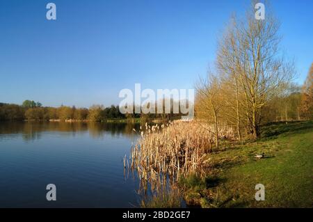 UK,South Yorkshire,Barnsley,Elsecar Nature Reserve