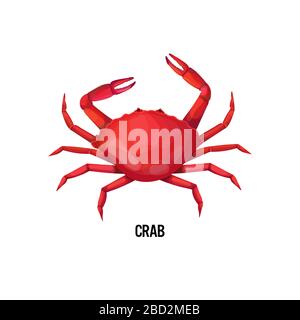 fresh crab isolated on white background seafood concept vector illustration Stock Vector