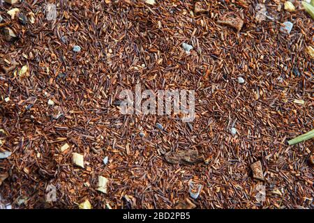 rooibos dry tea pieces flat lay. Still life, aromatic dry tea with fruits and petals, close up on white background Stock Photo