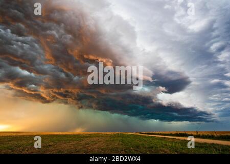 Sunlight illuminates moody, dramatic storm clouds over a field at sunset as a hailstorm approaches Eads, Colorado Stock Photo