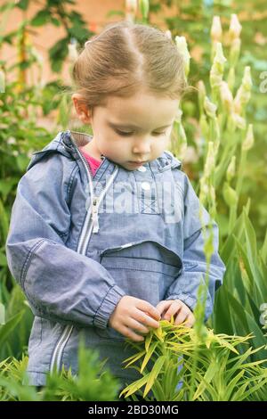 Curious three years old girl looking on garden plants Stock Photo