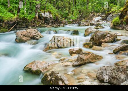 Mountain stream Ramsauer Ache in the enchanted forest, Berchtesgaden National Park, Ramsau, Berchtesgadener Land, Upper Bavaria, Bavaria, Germany Stock Photo