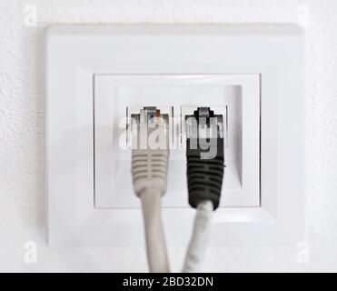 Two data patch cords plugged into a wall data internet RJ45 socket. Stock Photo