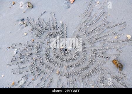 Beautiful small stones decoration at white sand. Little round pebbles in sun rays shape down at sandy beach, around hole, nature arranging background. Stock Photo