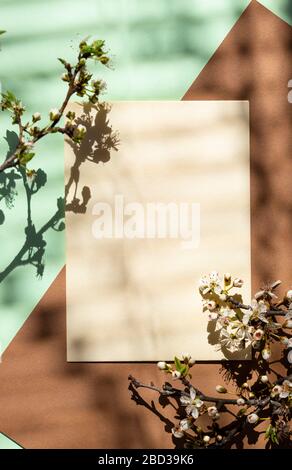 Empty card with shadow of a blooming tree Stock Photo