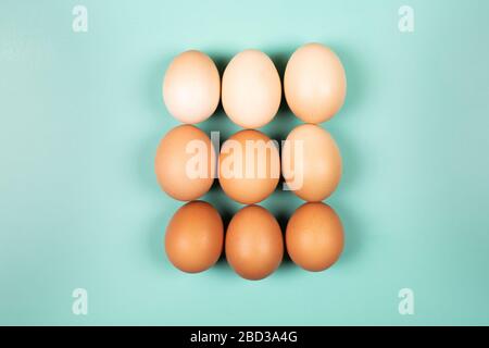 Organic chicken Eggs with copy space on mint background. Flat lay style. Stock Photo