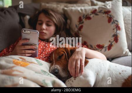 Tween girl looking at her phone while cuddling with hound dog on couch Stock Photo