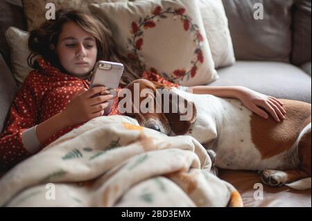 Tween girl looking at her phone while cuddling with hound dog on couch Stock Photo