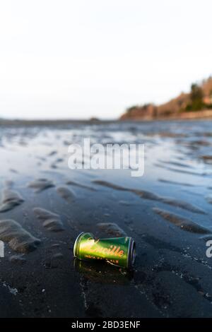A discarded beer can on a beach on the Puget Sound near Seattle Stock Photo