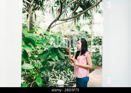 beautiful agronomical engineerr taking notes in the greenhouse Stock Photo