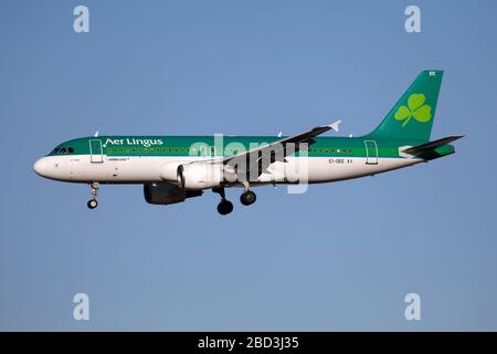 London, UK. 19th Jan, 2020. An Aer Lingus Airbus 320 lands at London Heathrow airport. Credit: Fabrizio Gandolfo/SOPA Images/ZUMA Wire/Alamy Live News Stock Photo