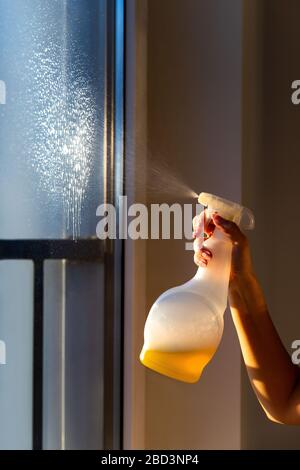 Close up of woman cleaning a window using cleaning sprayer with yellow washing liquid. Stock Photo