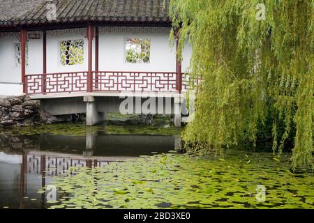 Dr. Sun Yat-Sen Classical Chinese Garden in Chinatown, Vancouver, British Columbia, Canada, North America Stock Photo