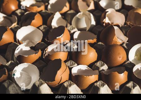 Texture of broken empty eggshell in carton box. View from above. Cooking on easter concept. Unusual photo of eggs. Stock Photo
