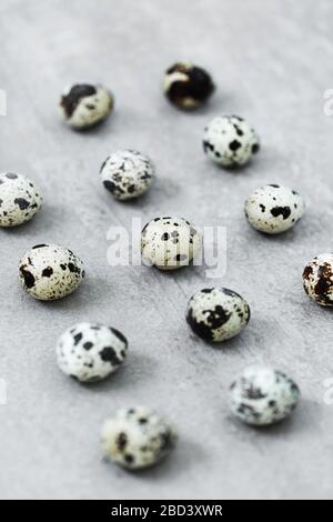 Many quail eggs on gray concrete background. Easter texture and paschal concept. Stock Photo