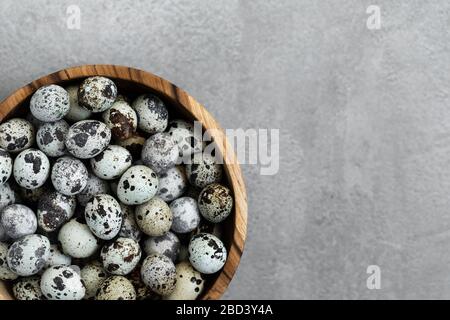Wooden bowl with heap of small quail eggs on gray concrete background. Empty place for text. Copy space. Stock Photo
