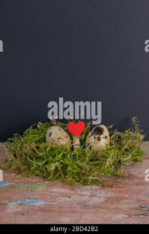 Two quail eggs and a heart between them stand on the green can. Easter concept symbolizing a couple in love Stock Photo