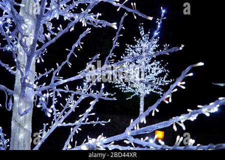 Trees made from LED lights during Christmas time Stock Photo