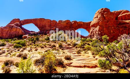 The South Window Arch in the Windows Section in the desert landscape of Arches National Park, Utah, United States Stock Photo