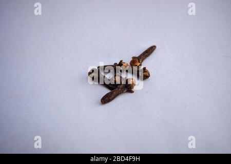 dry spice cloves isolated on white background Full depth of field Close-Up Stock Photography Image Stock Photo