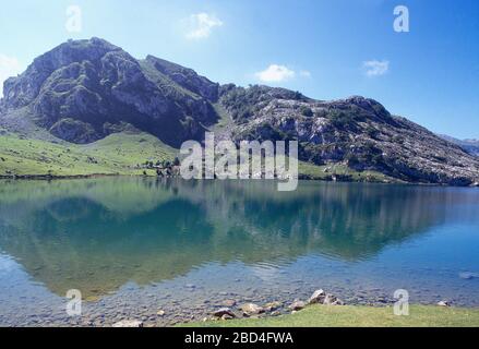 Enol lake. Lagos de Covadonga, Picos de Europa National Park, Asturias, Spain. Stock Photo