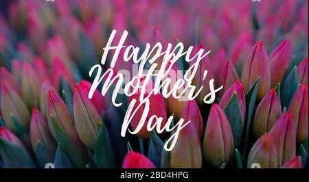 Happy Mothers Day words. Beautiful and tender bouquet of flowers in the hat  box, nice present concept, banner size Stock Photo - Alamy