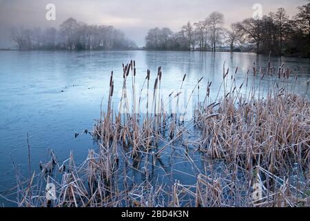 A covering of ice on the fishing lake at Old Wardour Castle near Tisbury in Wiltshire. Stock Photo